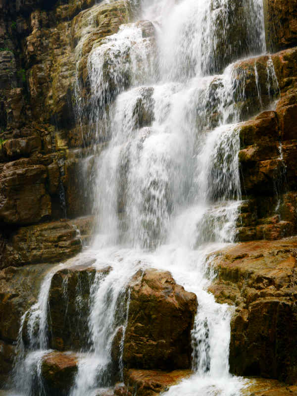 DSC_5258.jpg