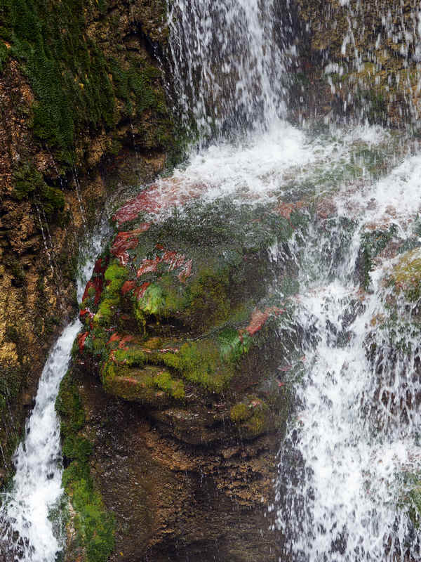 DSC_5243.jpg