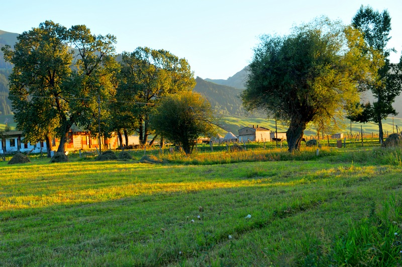 DSC_5007.JPG