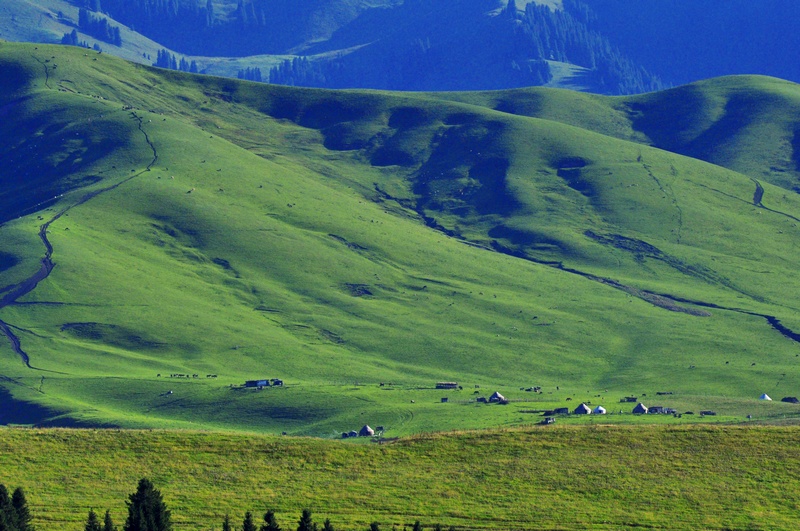 _DSC0018.JPG