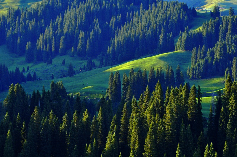 _DSC0038.JPG