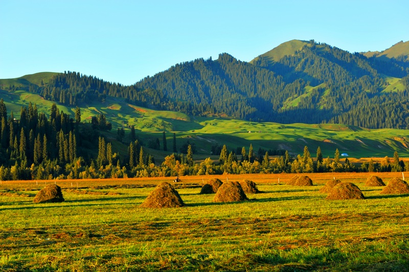 DSC_5012.JPG