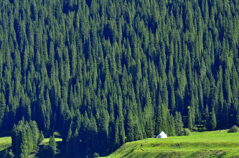 _DSC0007.JPG