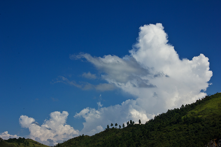 IMG_7481.jpg