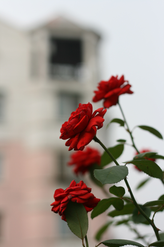 IMG_0818.jpg