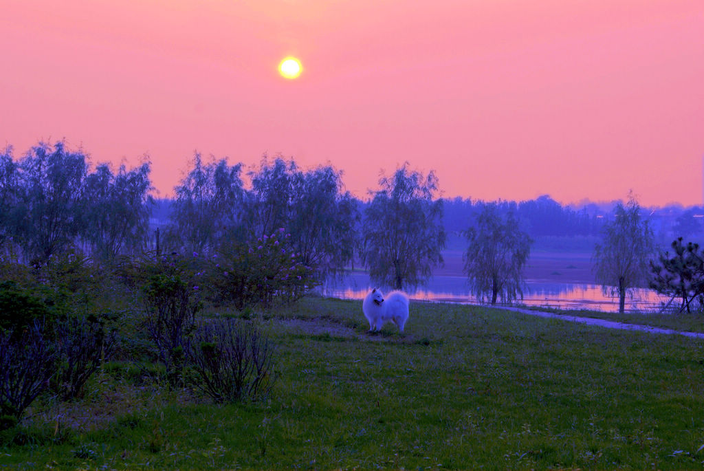 nEO_IMG_DSC08562 - .jpg