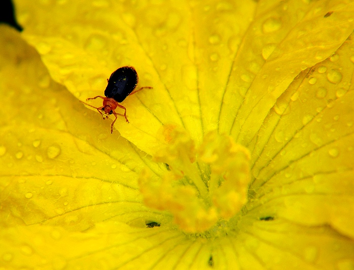 DSC_0071.JPG