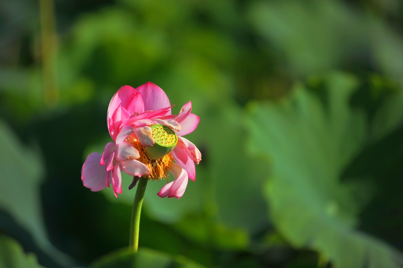 DSC_5343.JPG