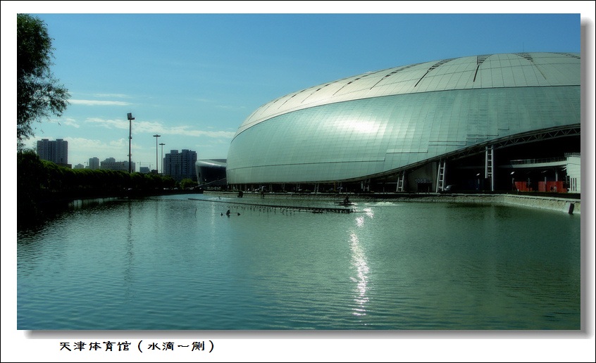 DSC07998.jpg