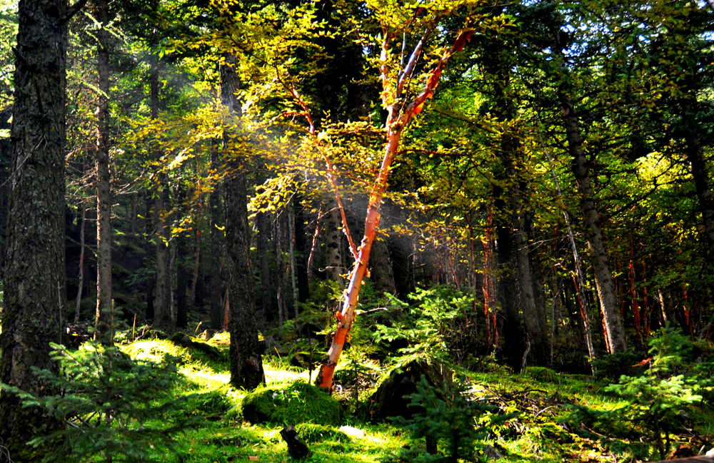 DSC_5848.JPG