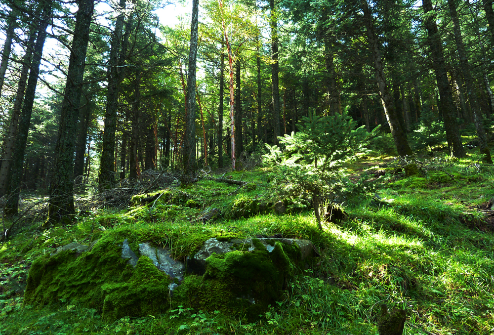 P1010917.JPG