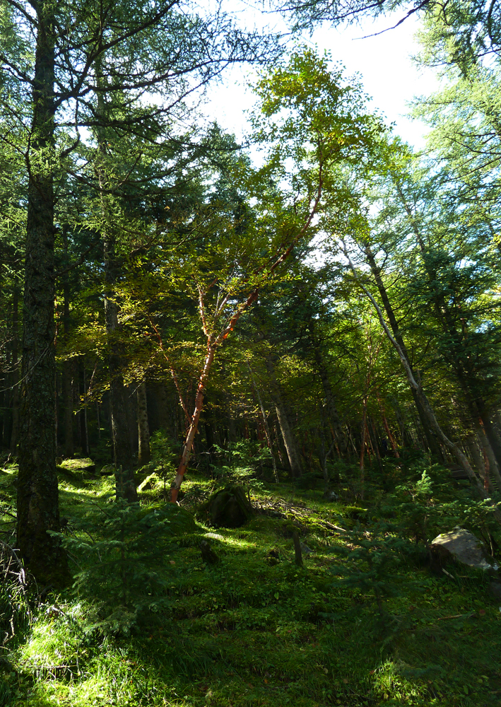 P1010921.JPG