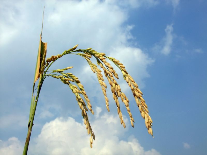 DSCF6192.jpg