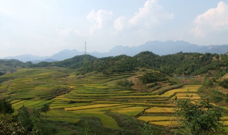 DSCF6248.jpg