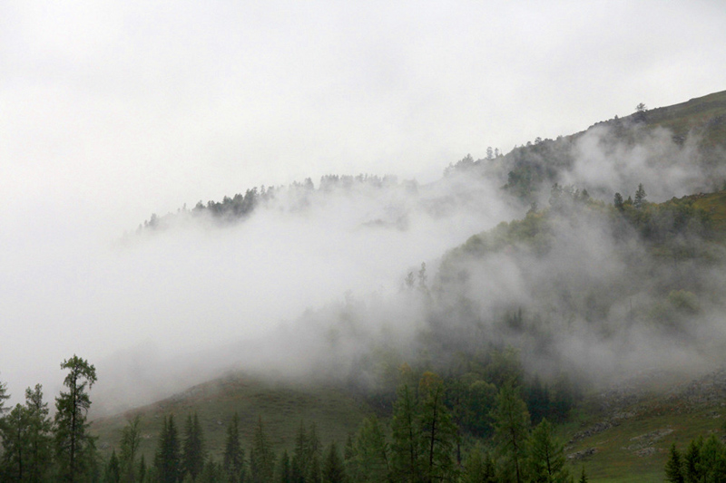 IMG_4682_.jpg