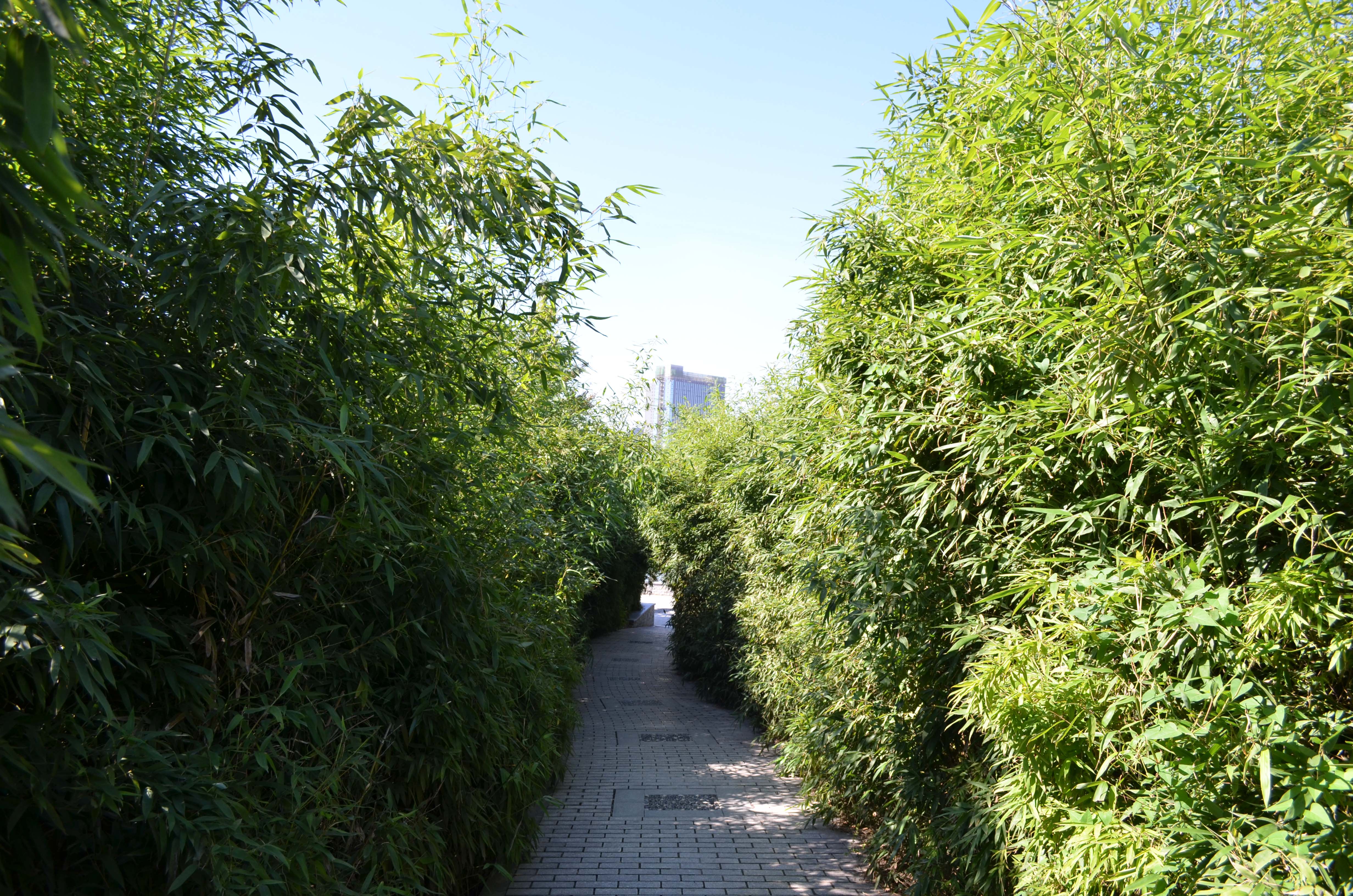 DSC_0029 .jpg