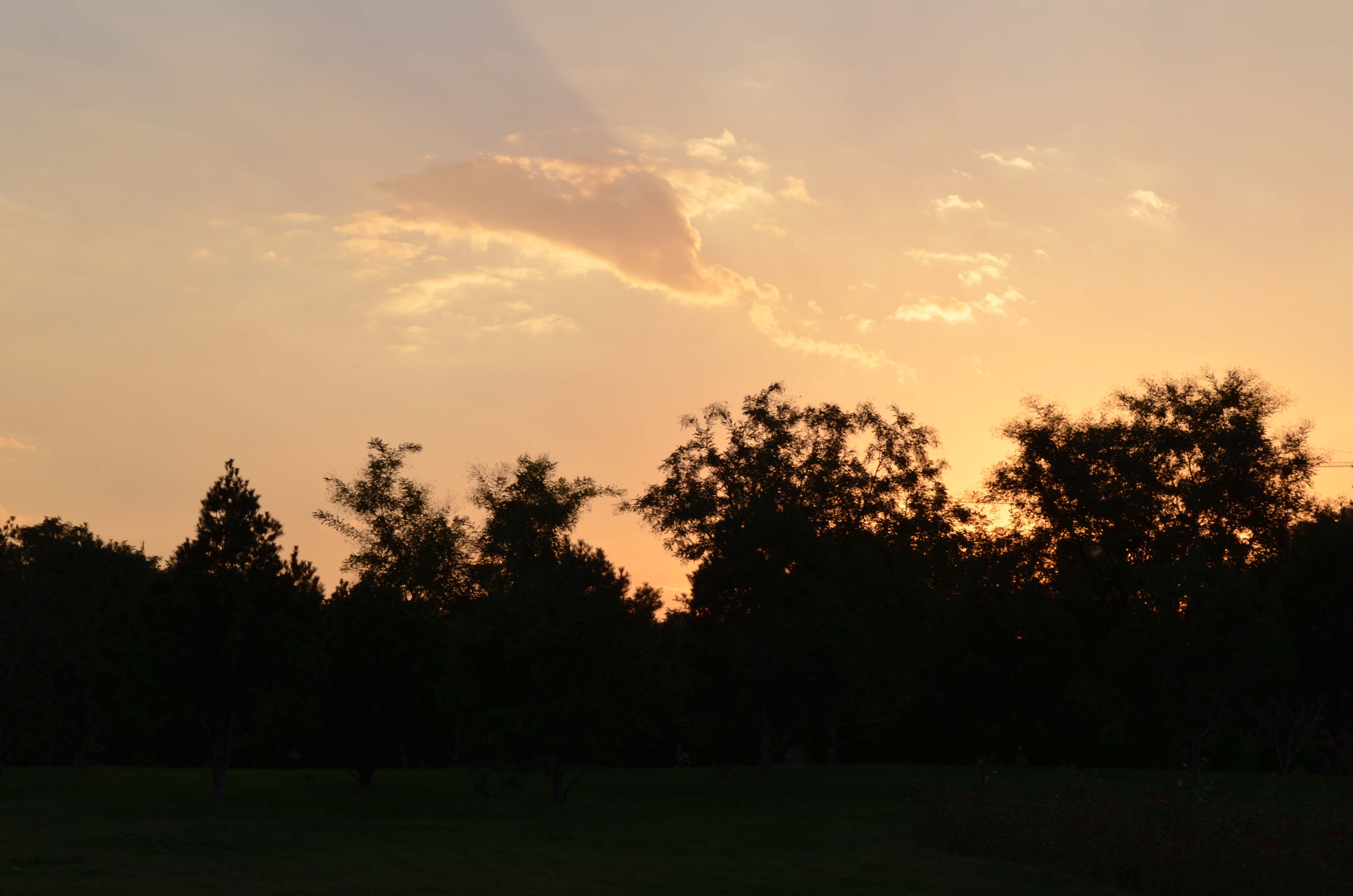 DSC_0053 .jpg