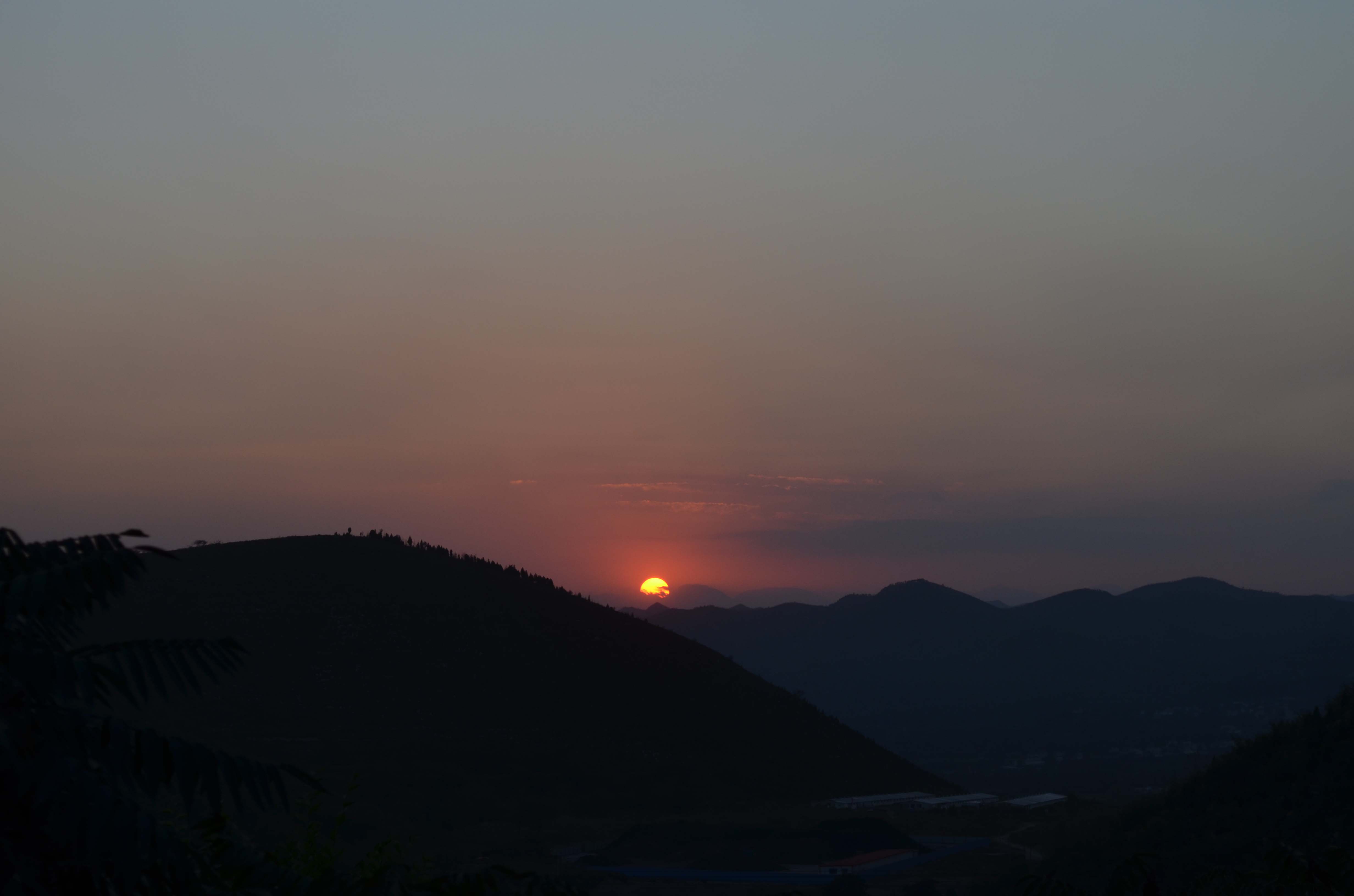 DSC_0092 .jpg