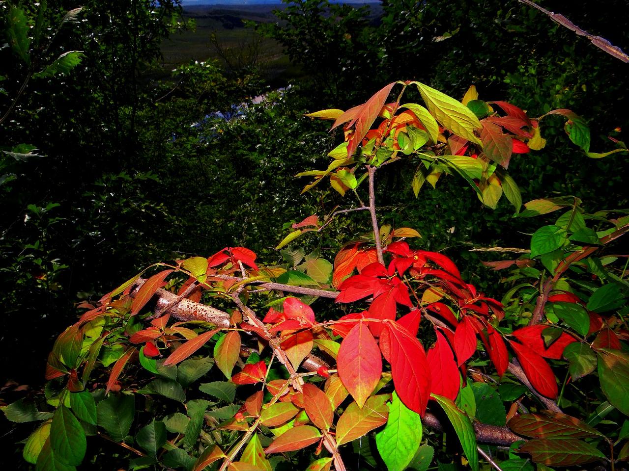 DSC05101.JPG