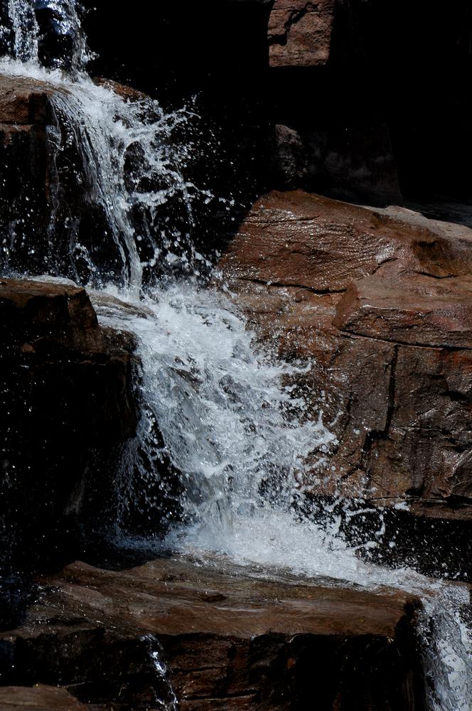 DSC_010.jpg
