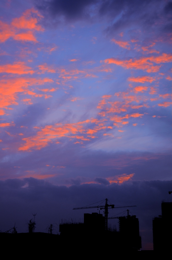 DSC_25.jpg