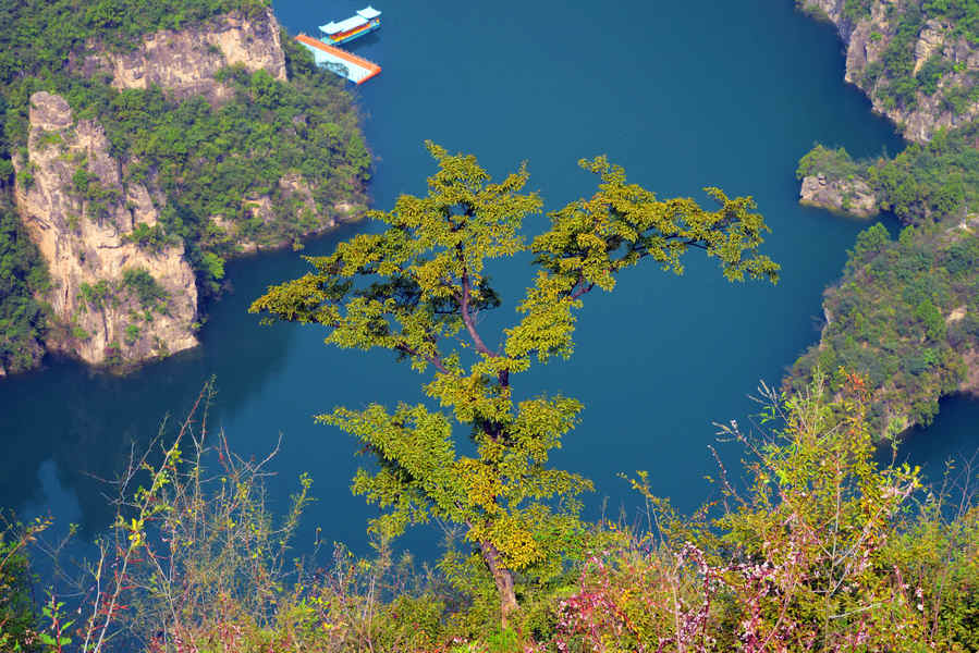 DSC_5310.jpg