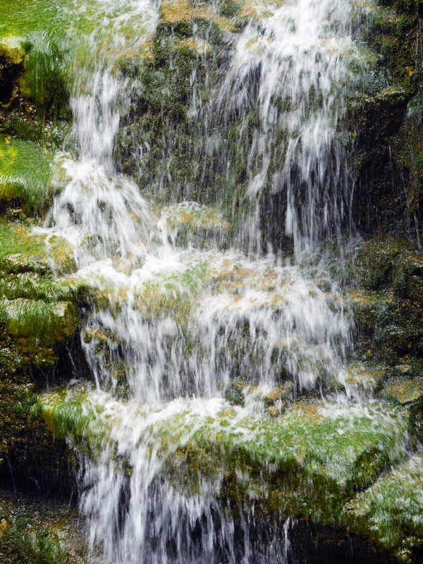 DSC_5236.jpg