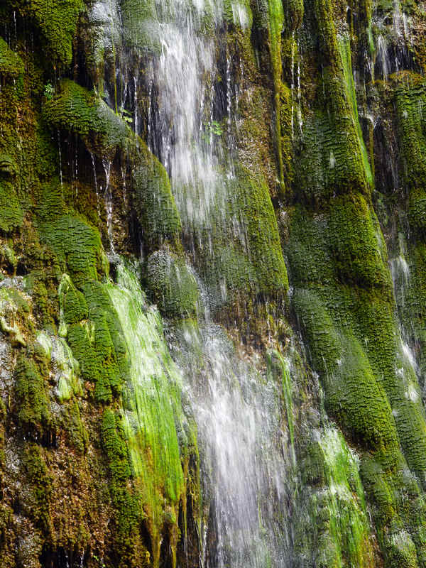 DSC_5275.jpg