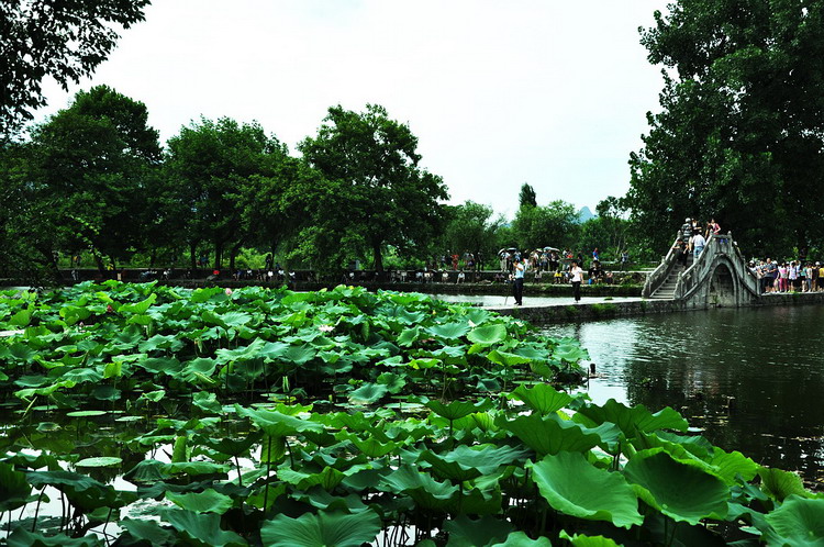 DSC_1390AB.jpg