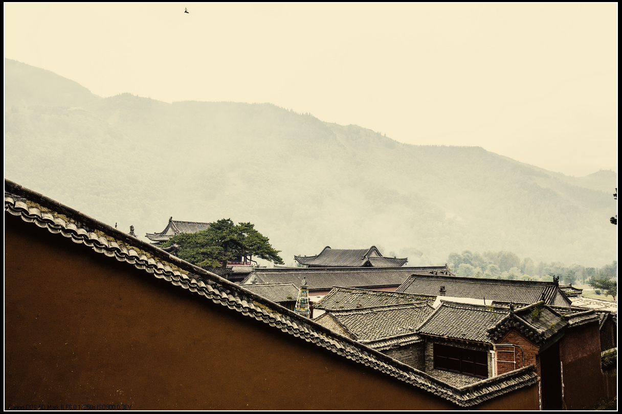_MG_5936.jpg