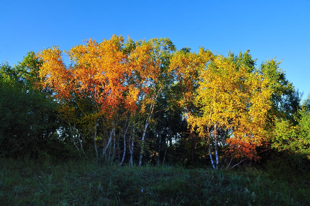 DSC_0027.jpg