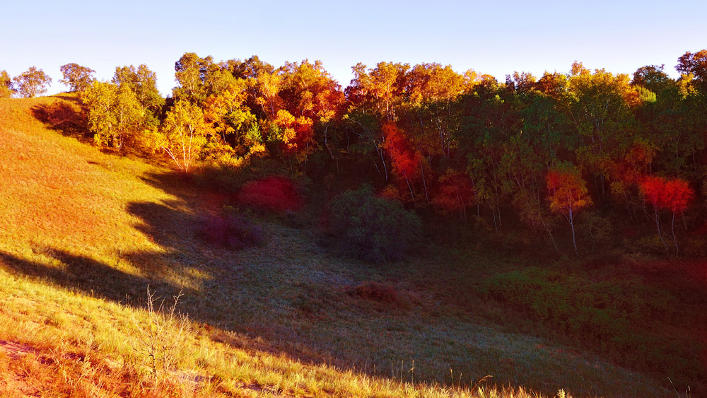 DSC_0015.jpg