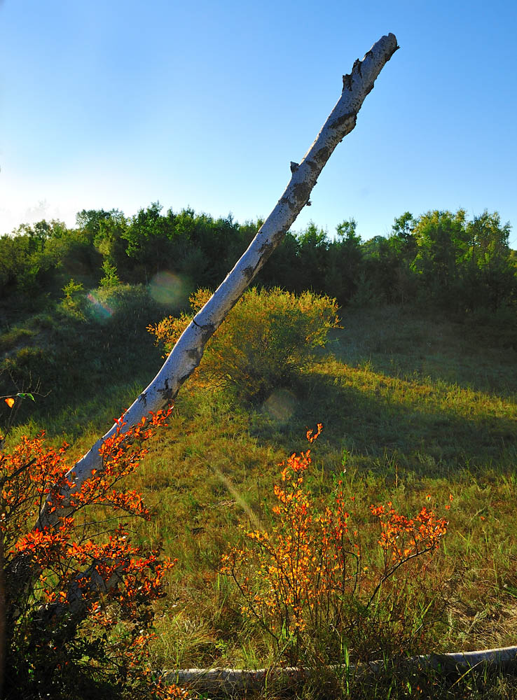 DSC_0017.jpg