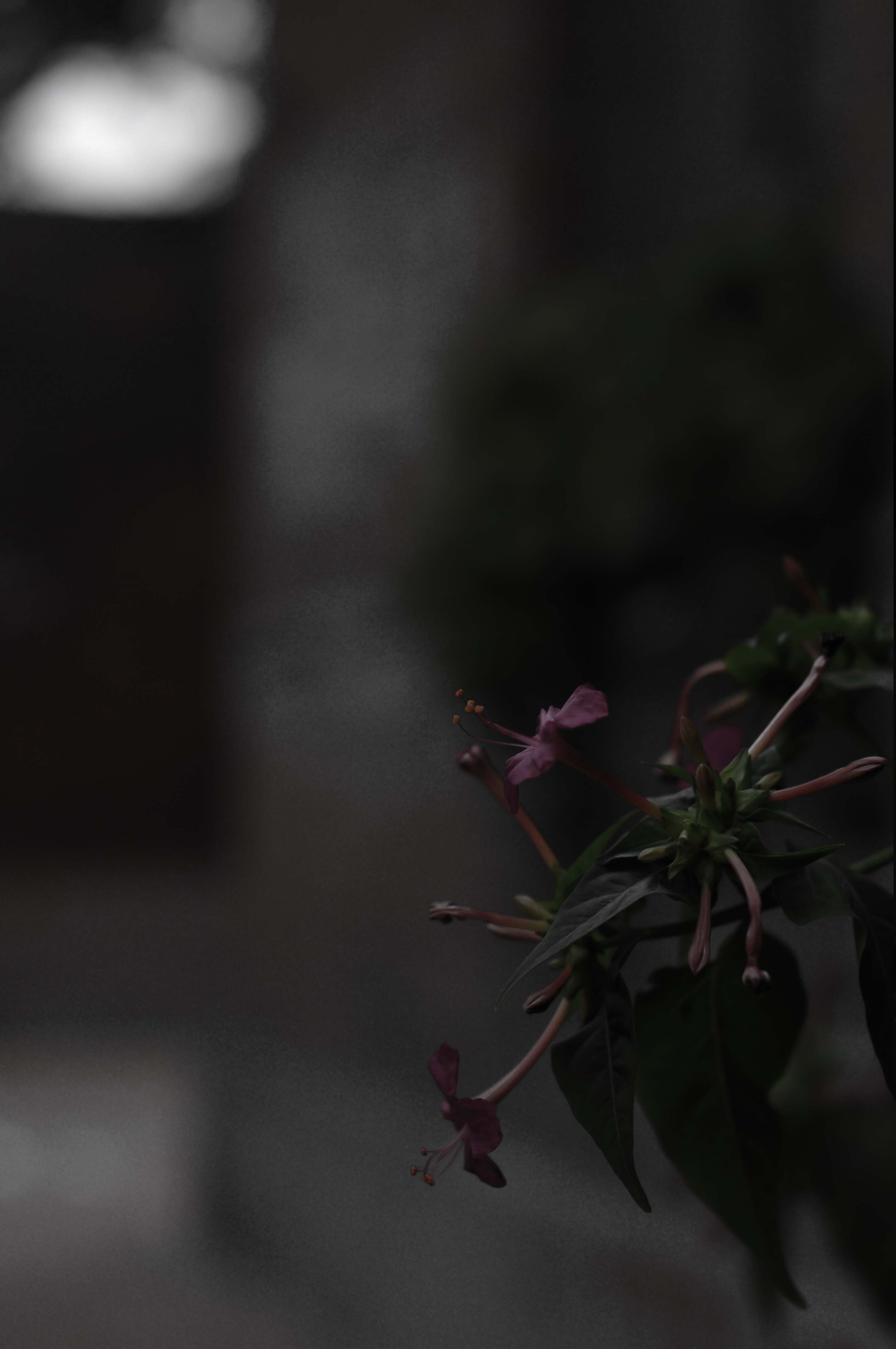03.jpg