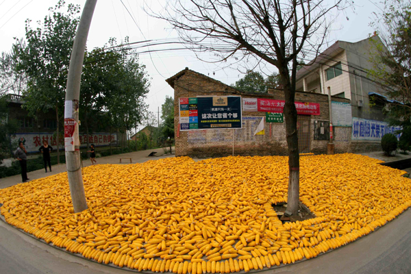 ջ (9).JPG