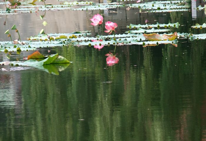 DSCF5544.jpg
