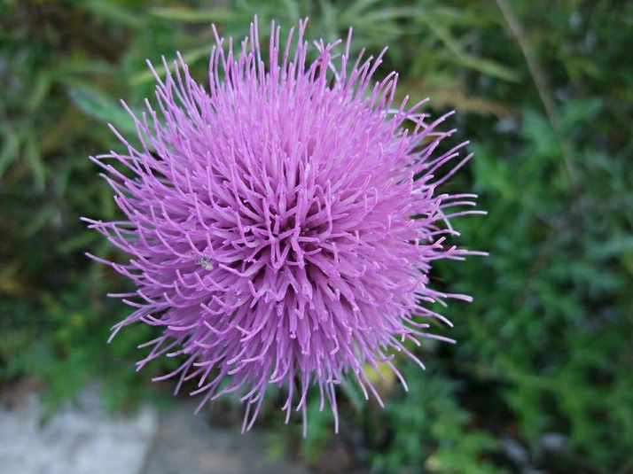 DSCF5549.JPG