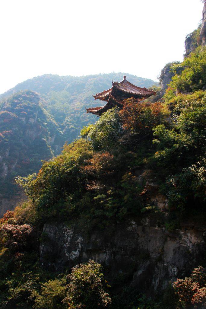 羰6.jpg