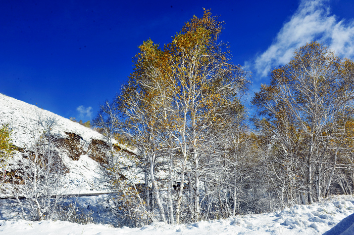 _DSC7395-.jpg