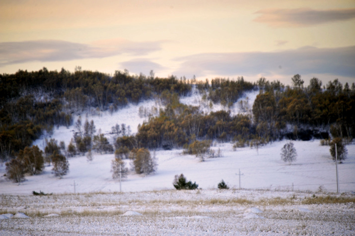 _DSC7261.jpg