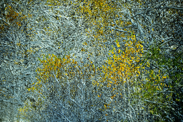 _DSC7373-.jpg