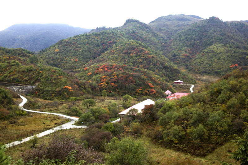 _MG_7054.jpg