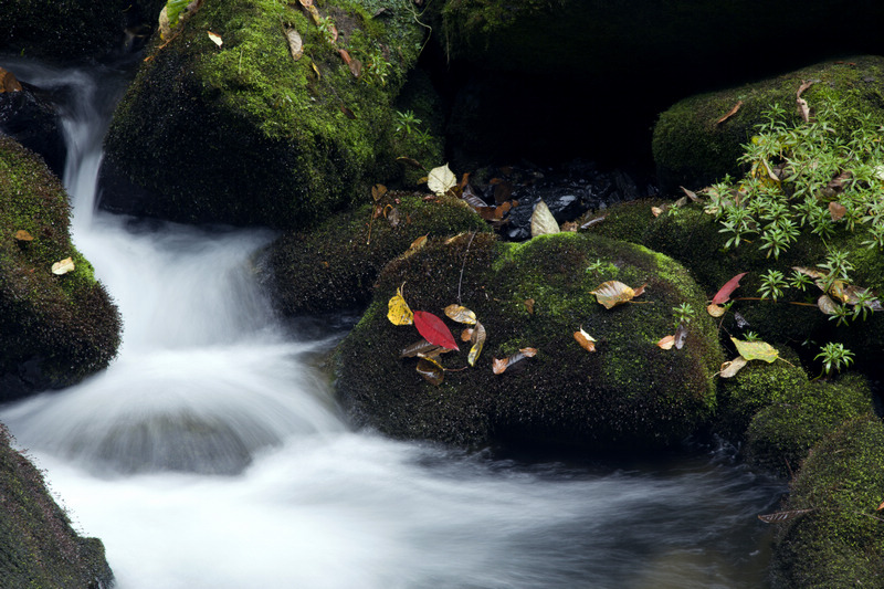 _MG_7096.jpg