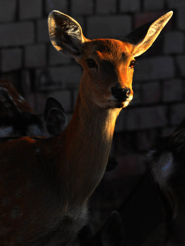 DSC_0020.jpg