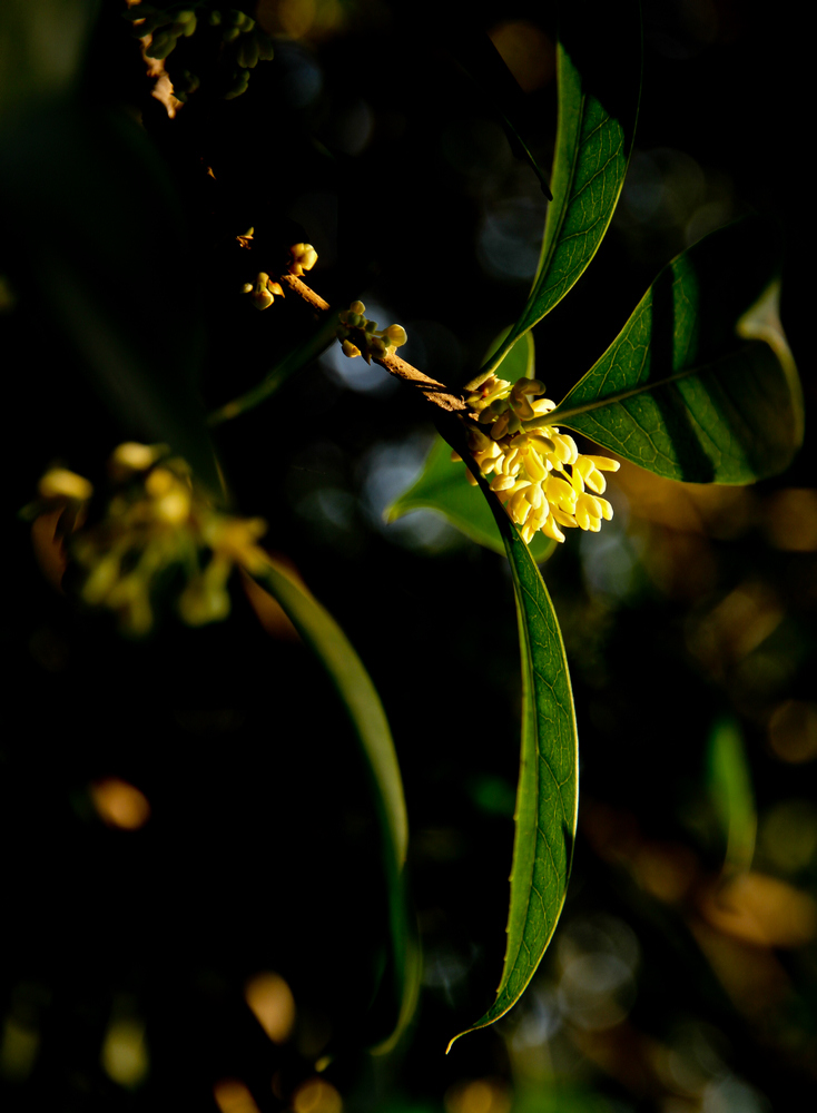 IMG_9749.jpg