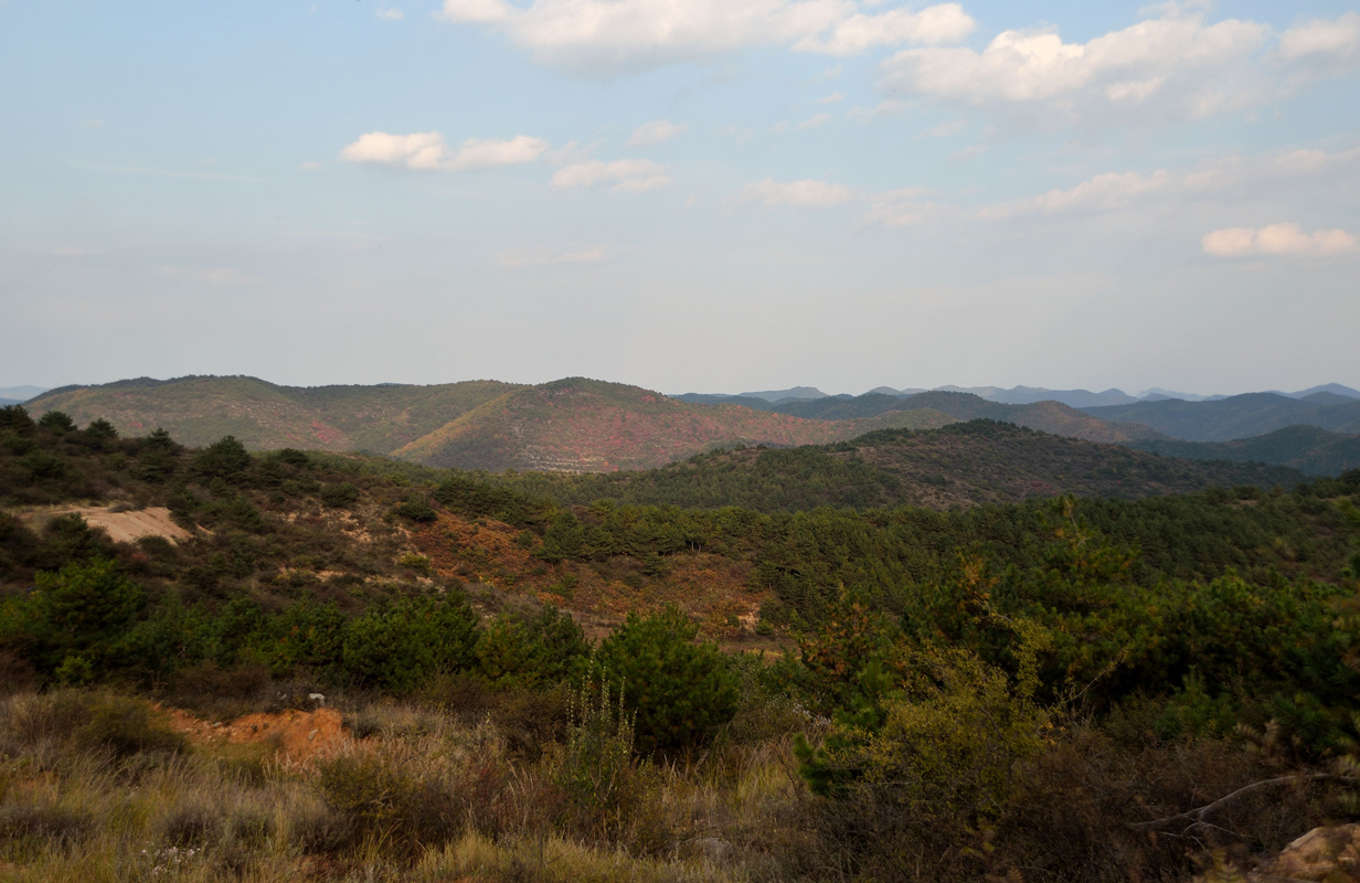 DSC_0079.jpg