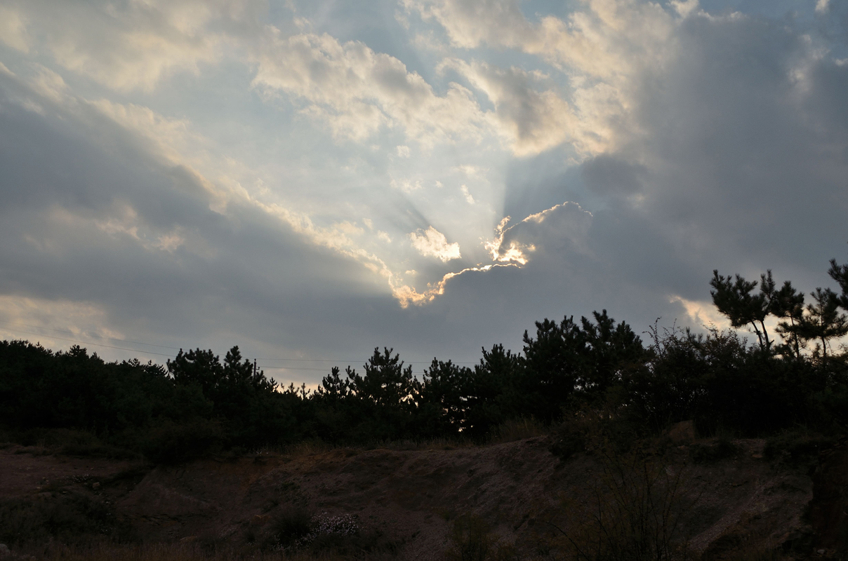 DSC_0084.jpg
