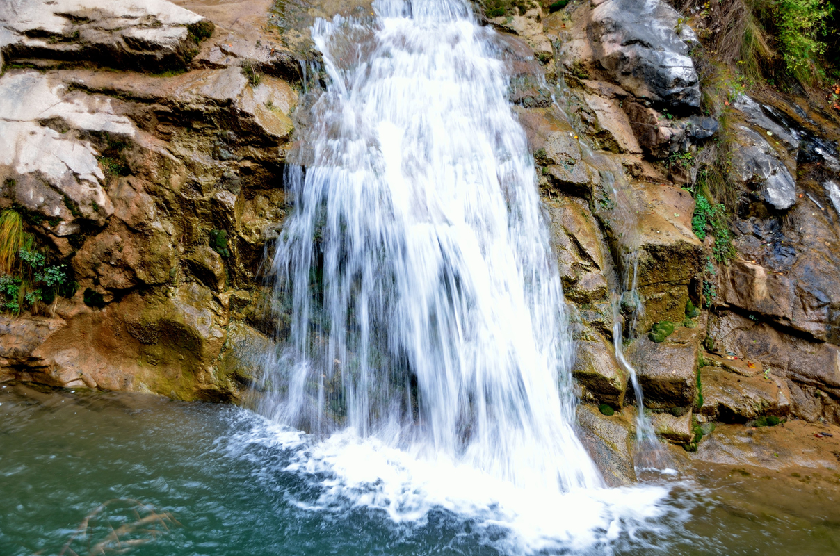 DSC_0100.jpg