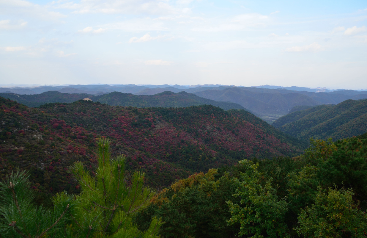 DSC_0089.jpg
