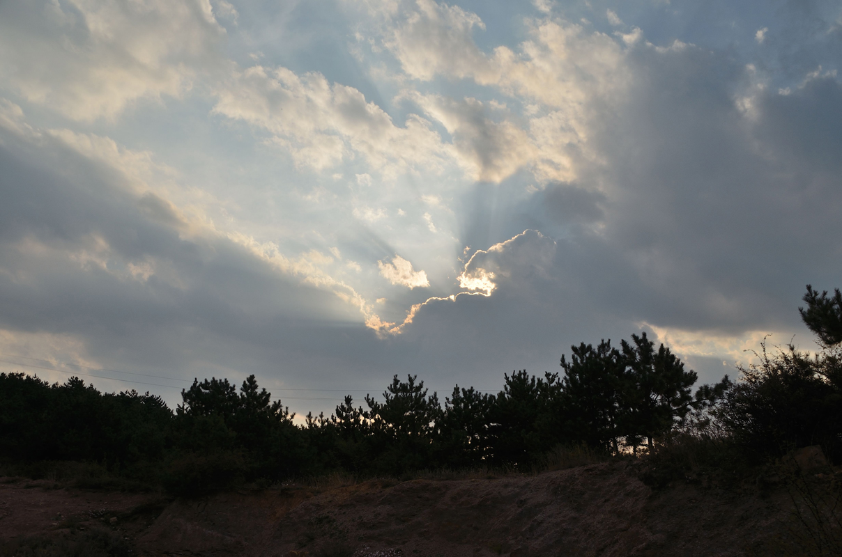 DSC_0085.jpg